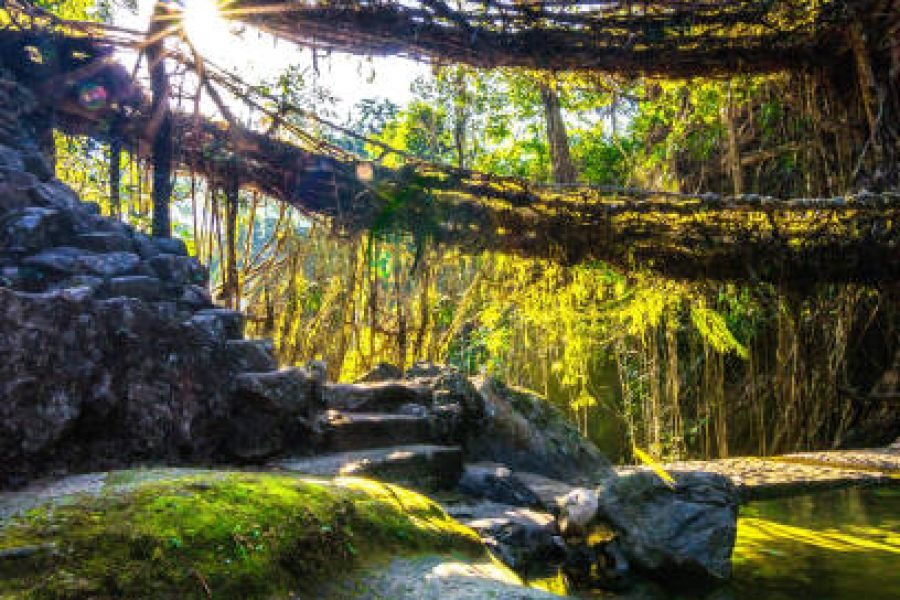 Meghalaya